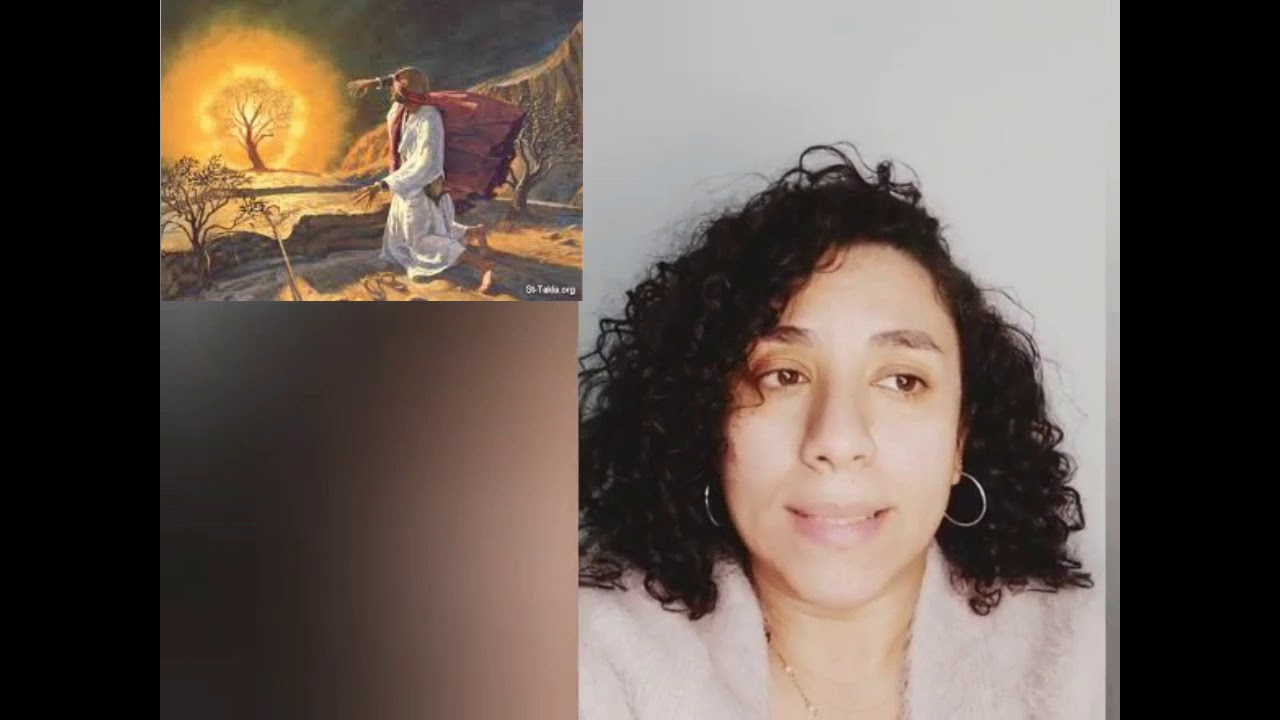 موسى النبي