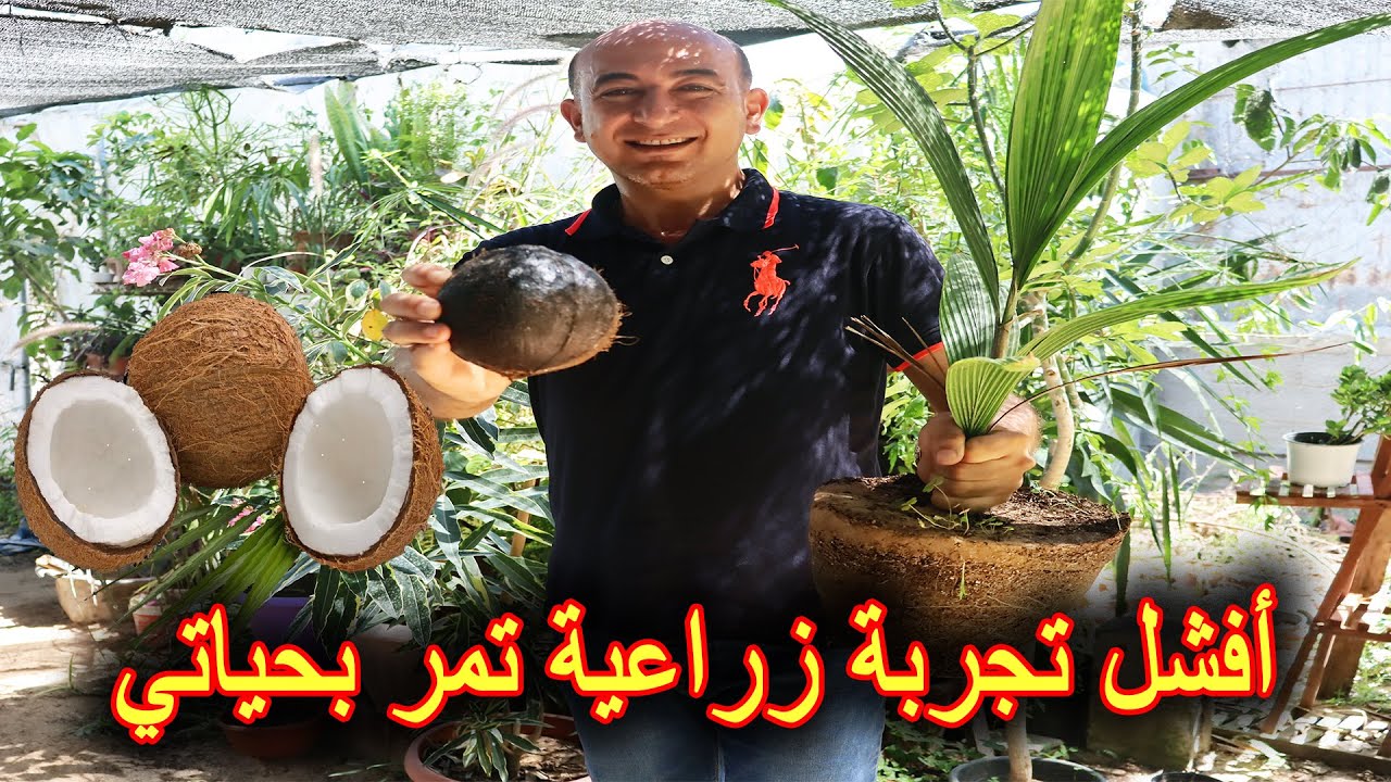 زرعت جوز الهند و النتيجة كارثية | Growing Coconut at Home