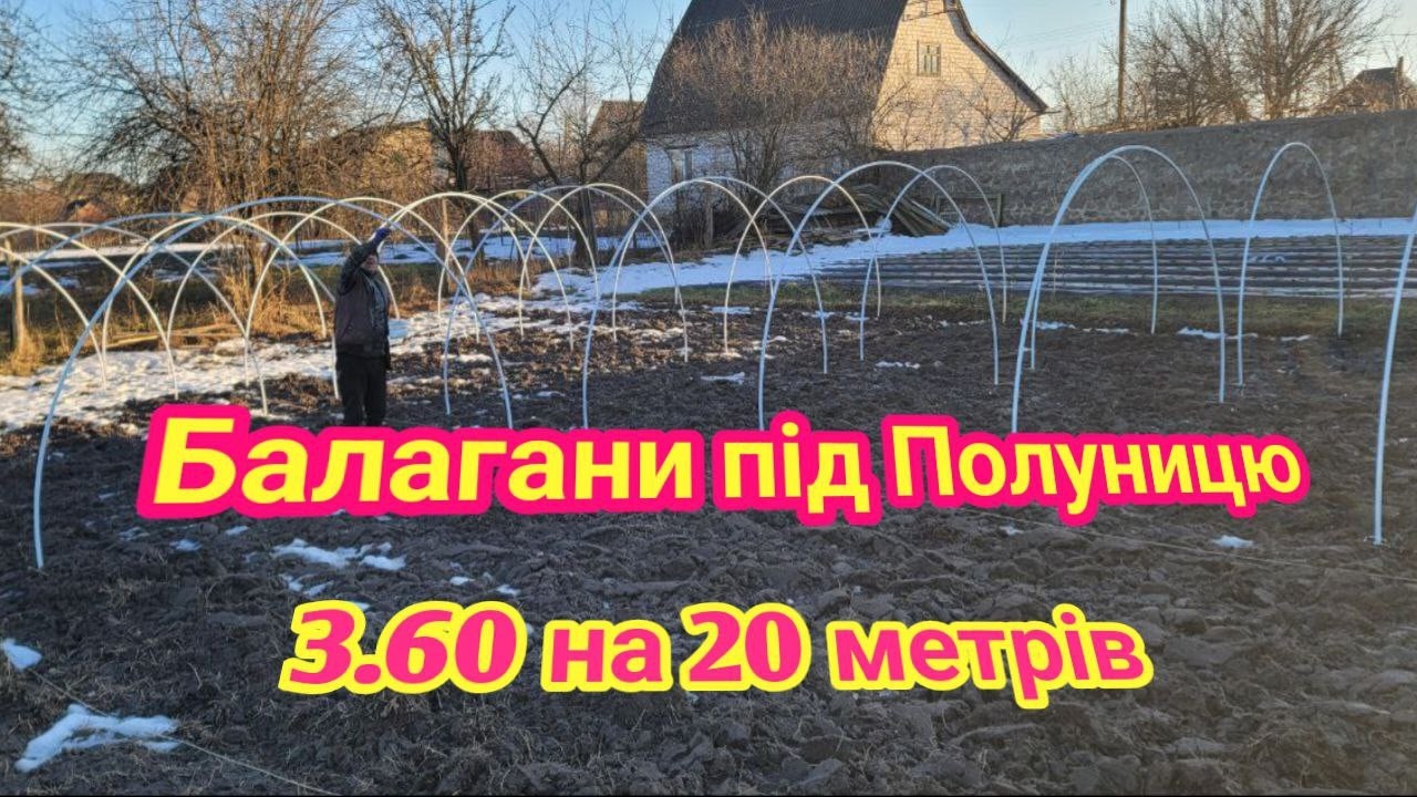 Балагани під Полуницю це було не легко