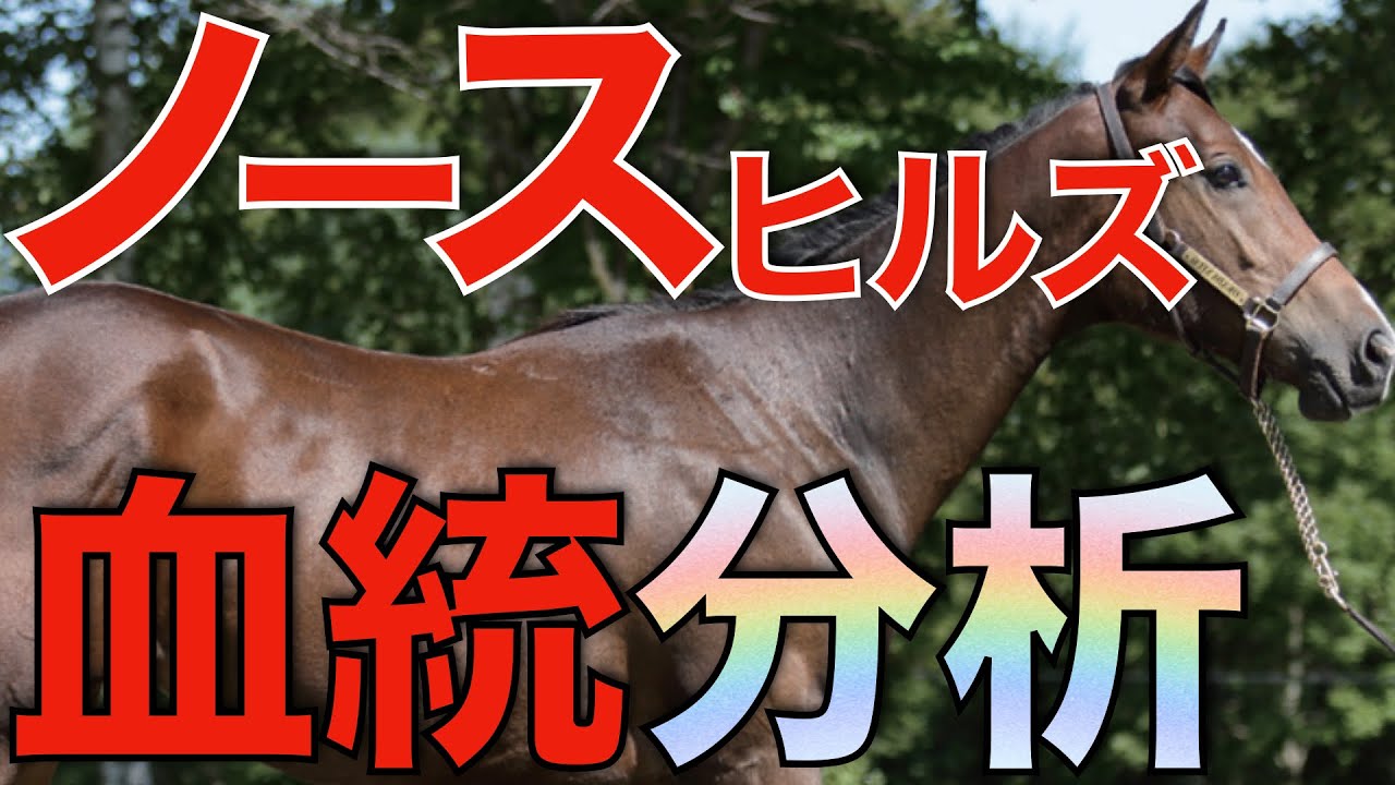 キズナとコントレイルに集中投入！自前血統で勝負をかけるノースヒルズの戦略とは？