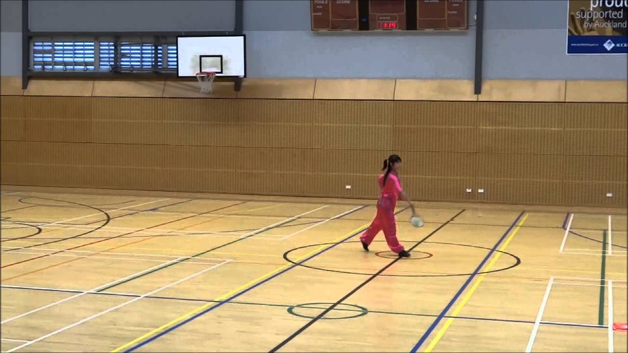 Taiji Rouliqiu, World Tai Chi & Qigong Day 2013, Auckland NZ