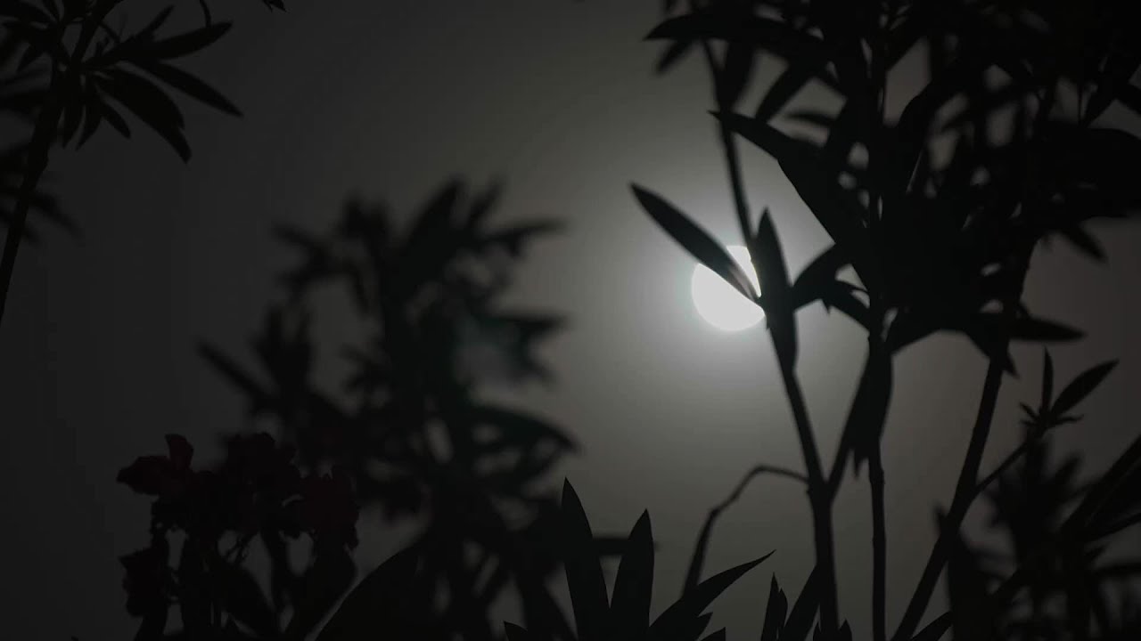 خليفة بن طحنون‬ يزور أسر شهداء الوطن