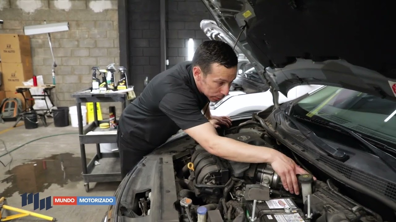 MEGUIARS : LAVANDO EL MOTOR DEL AUTO