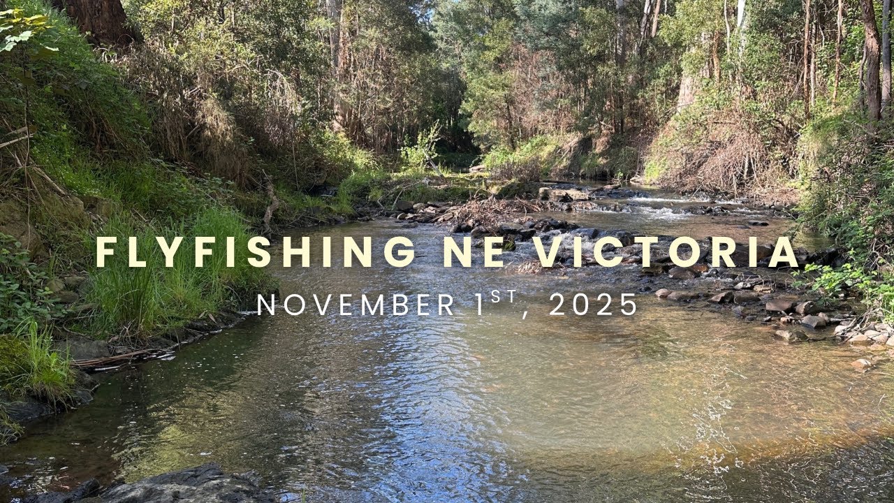 Fly Fishing NE Victoria 01/11/2025