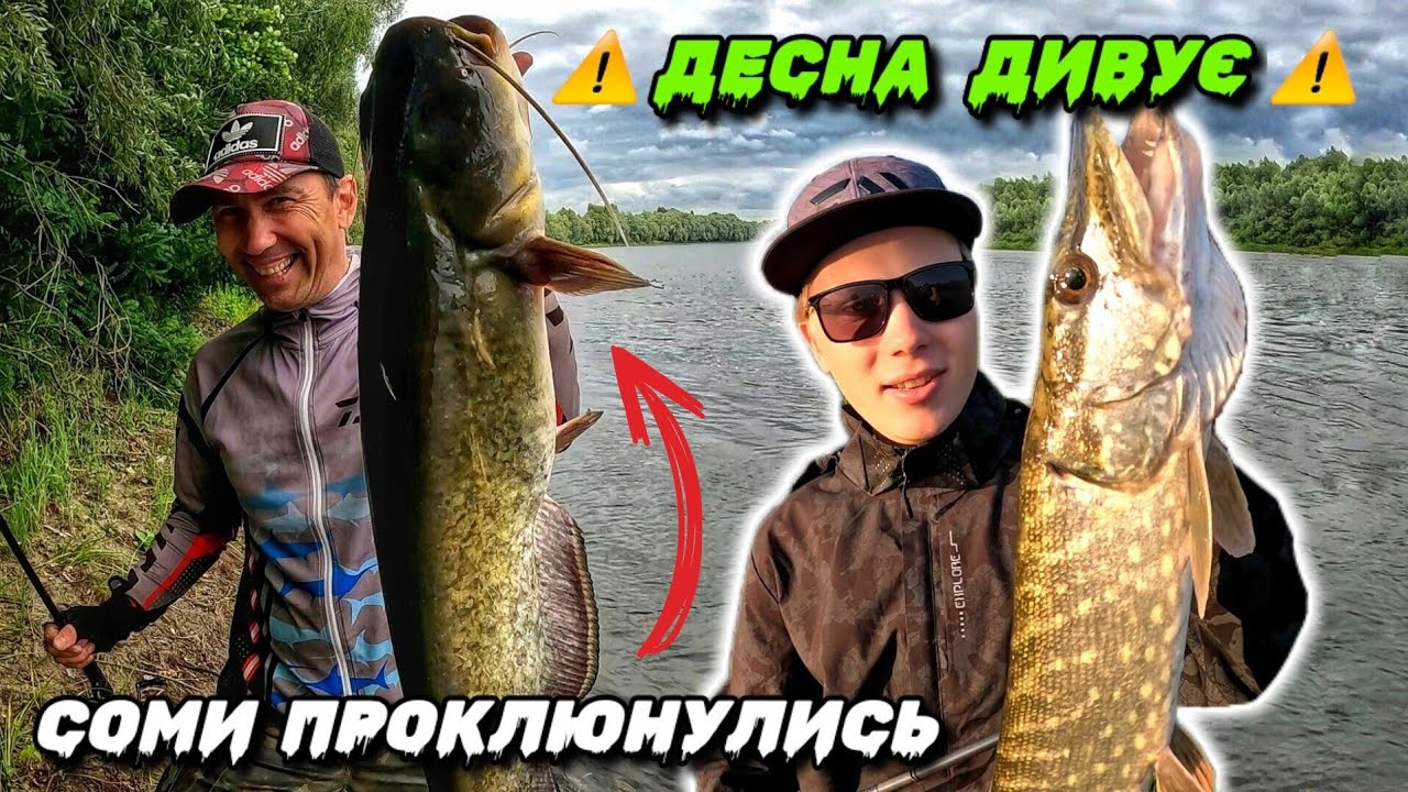 ОСЬ ЩО ТАКЕ ДЕСНА! Батл по Щукам і Сомам