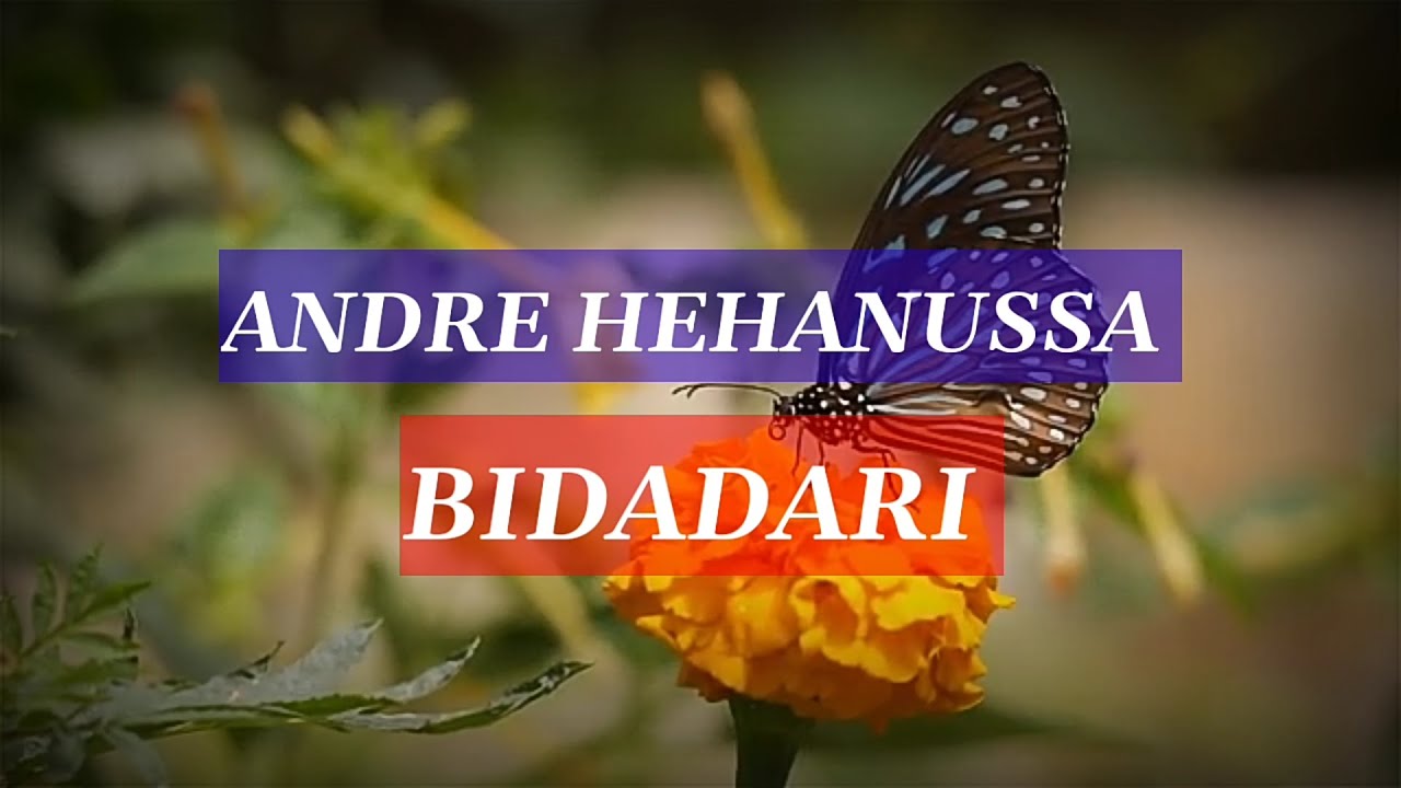 Andre hehanussa - Bidadari |Lyrics