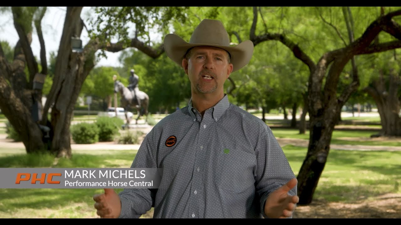 BirdDog Stories - Performance Horse Central increases streaming capabilities with P200