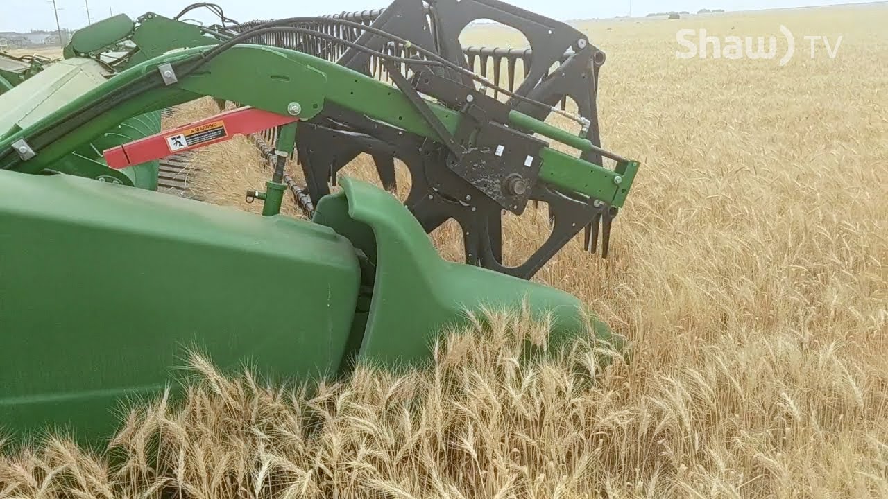 Medicine Hat & District Growing Project