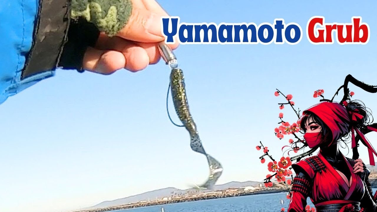 Japan’s Most Trusted Grub – Saltwater fish also love the Single Tail Grub