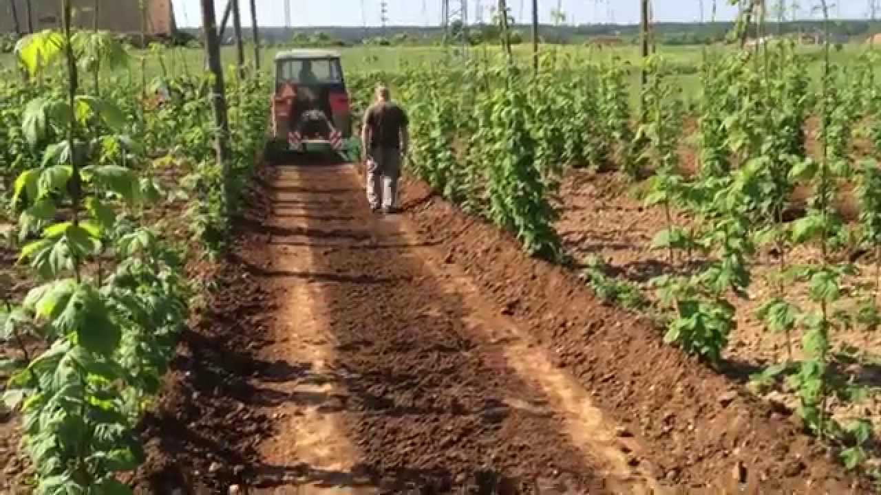 Přiorávka chmele 2014 - Zemědělská společnost Chrášťany s.r.o.