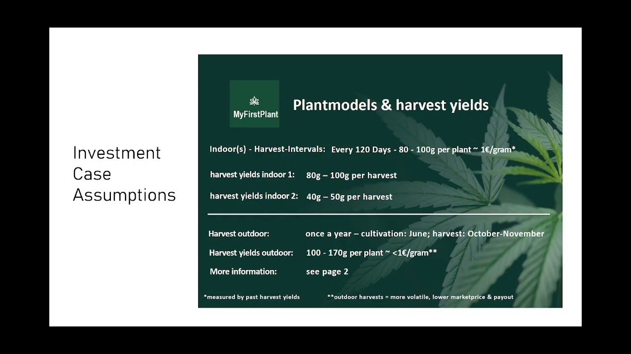 CBD Investment