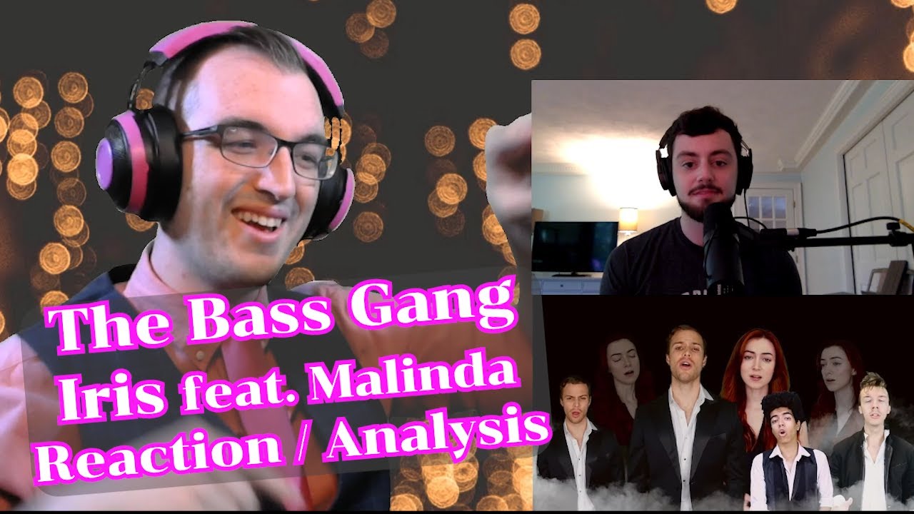 PURE musical BEAUTY!! | Iris - The Bass Gang ft Malinda | Acapella Reaction/Analysis