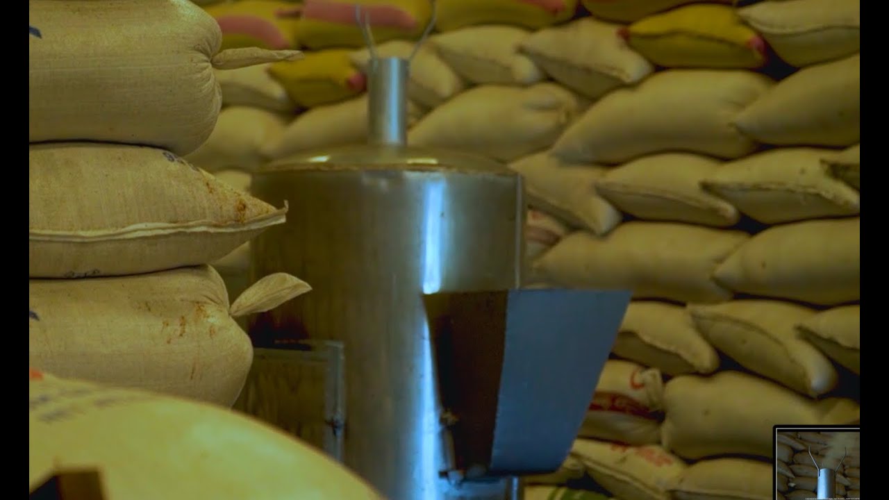 Pest Control Device for Rice Warehouses