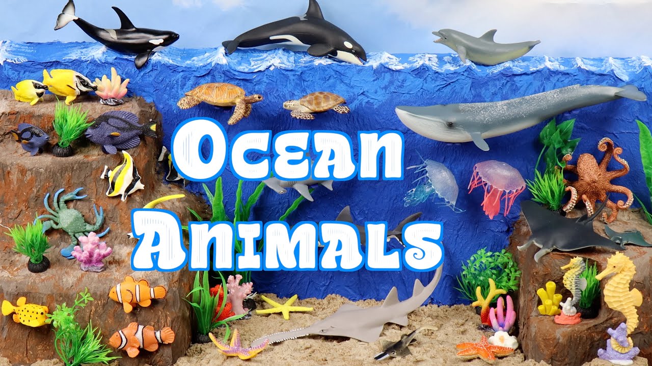 Meet the Amazing Ocean Animals | Let's Build an Underwater Diorama!