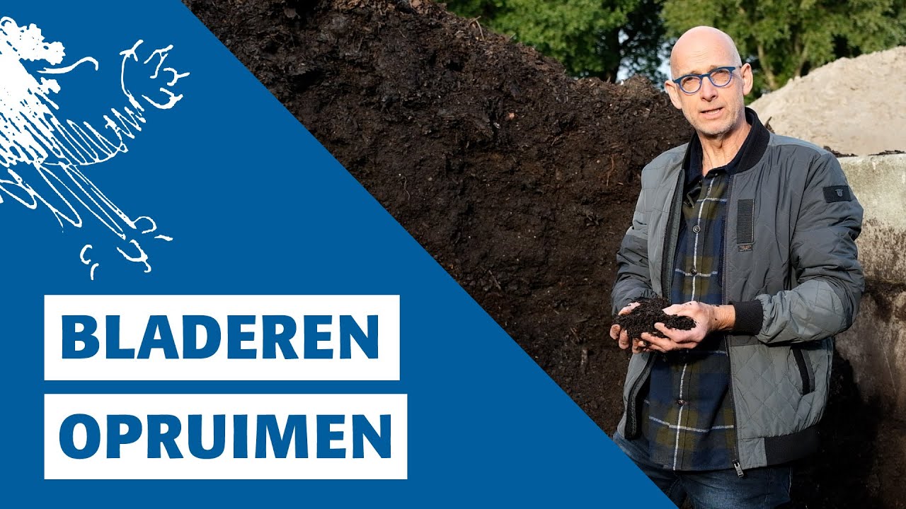 Bladeren opruimen
