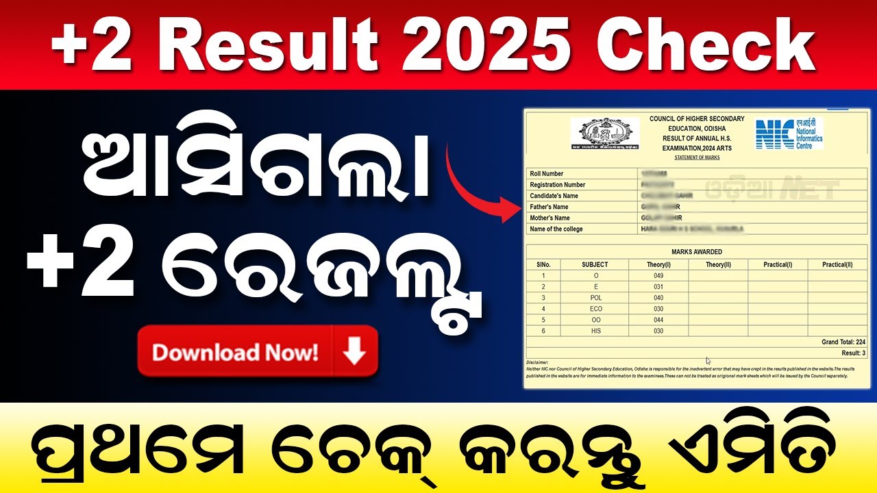 CHSE Odisha +2 Result Check Online 2025 | How To Check Plus Two Result 2025 | Marksheet Download