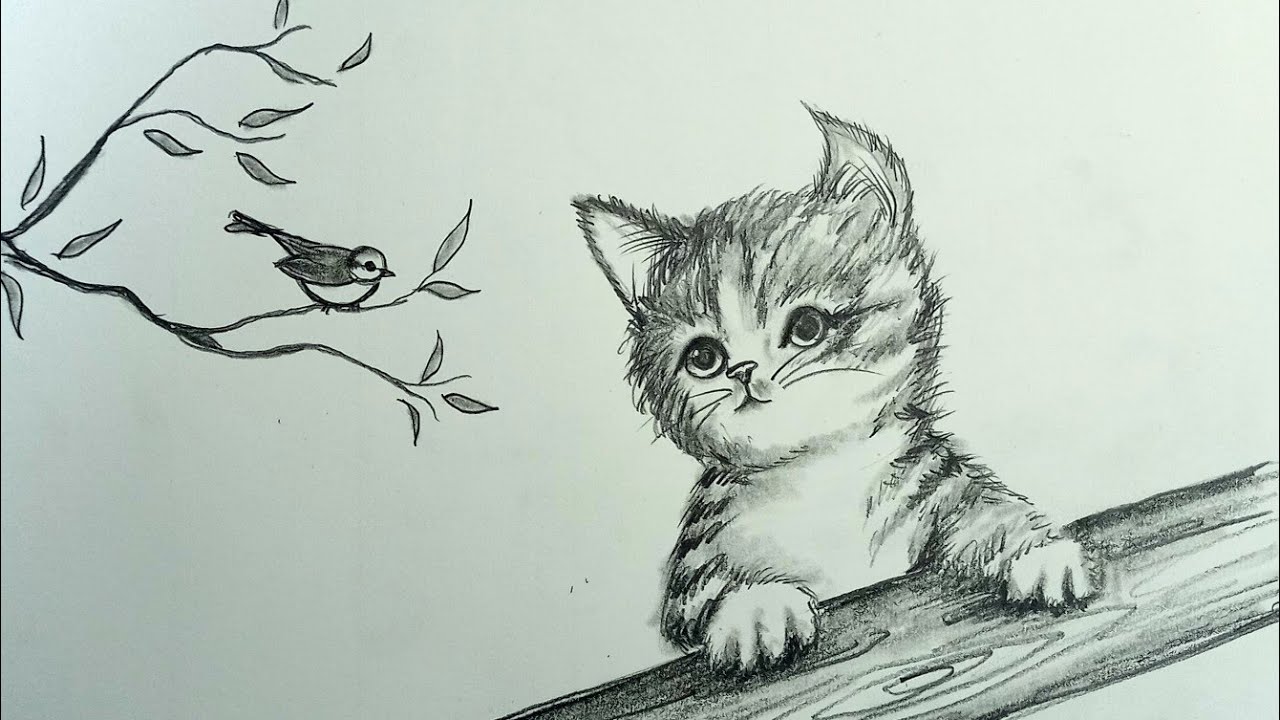 Daily Challenge #325/ Pencil drawing A Cat and a Bird/ pencil drawing