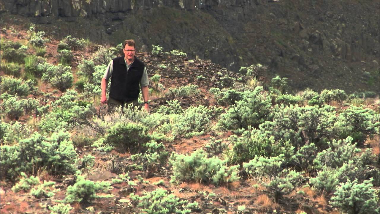 Roadside Geology - Frenchman Coulee