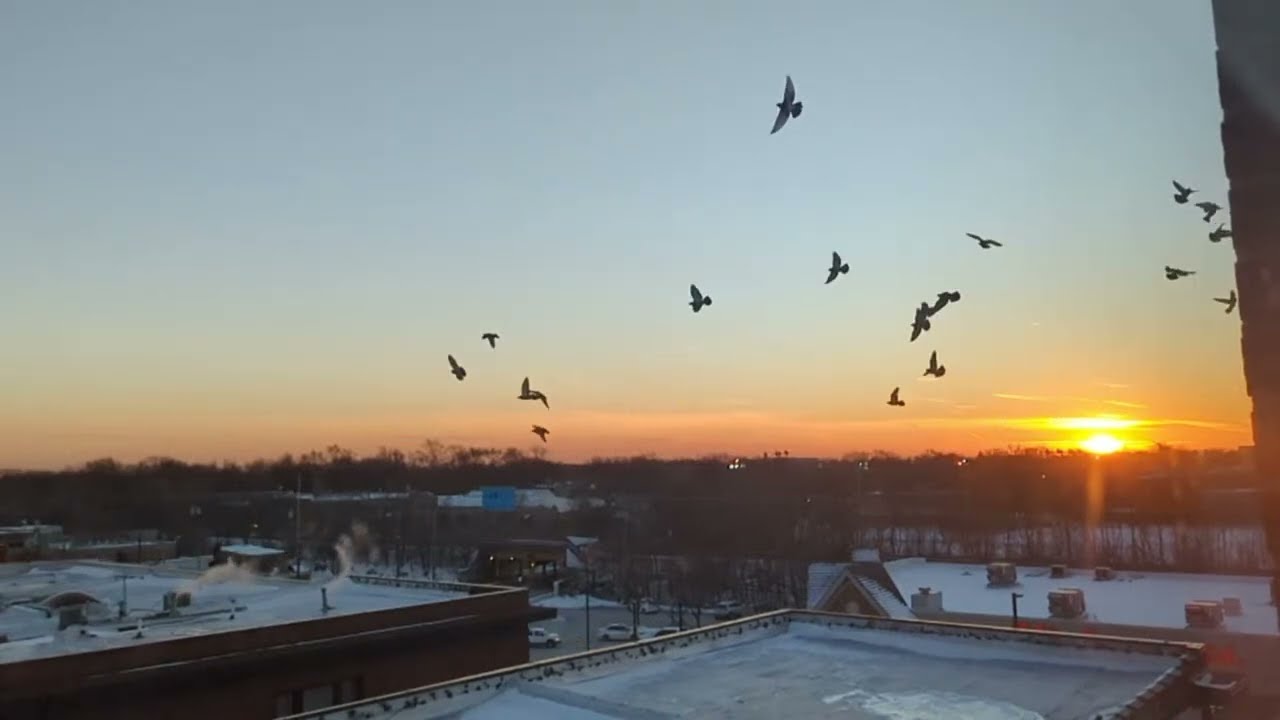 #RogersPark #Chicago