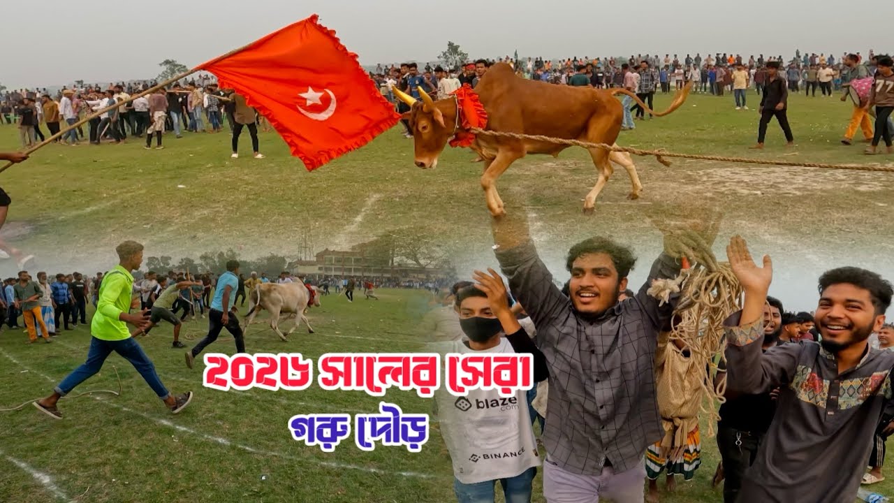 ২০২৬ সালের সেরা গরু দৌড় || না দেখলে অনেক কিছু মিস হয়ে যাবে 