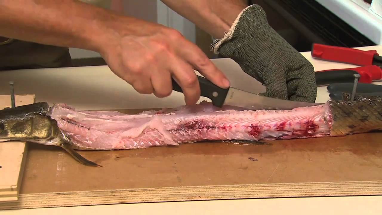 Cooking and eating Gar