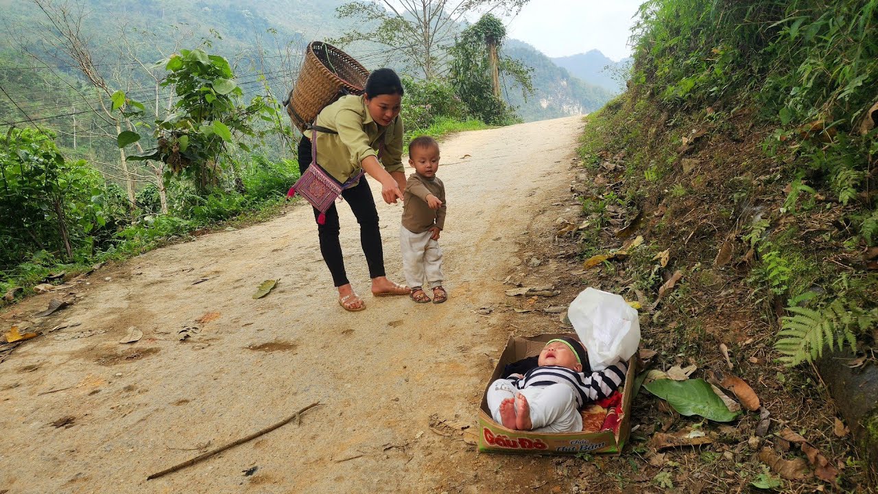 Harvesting turmeric to sell - On the way home with Bao, they came across an abandoned baby.