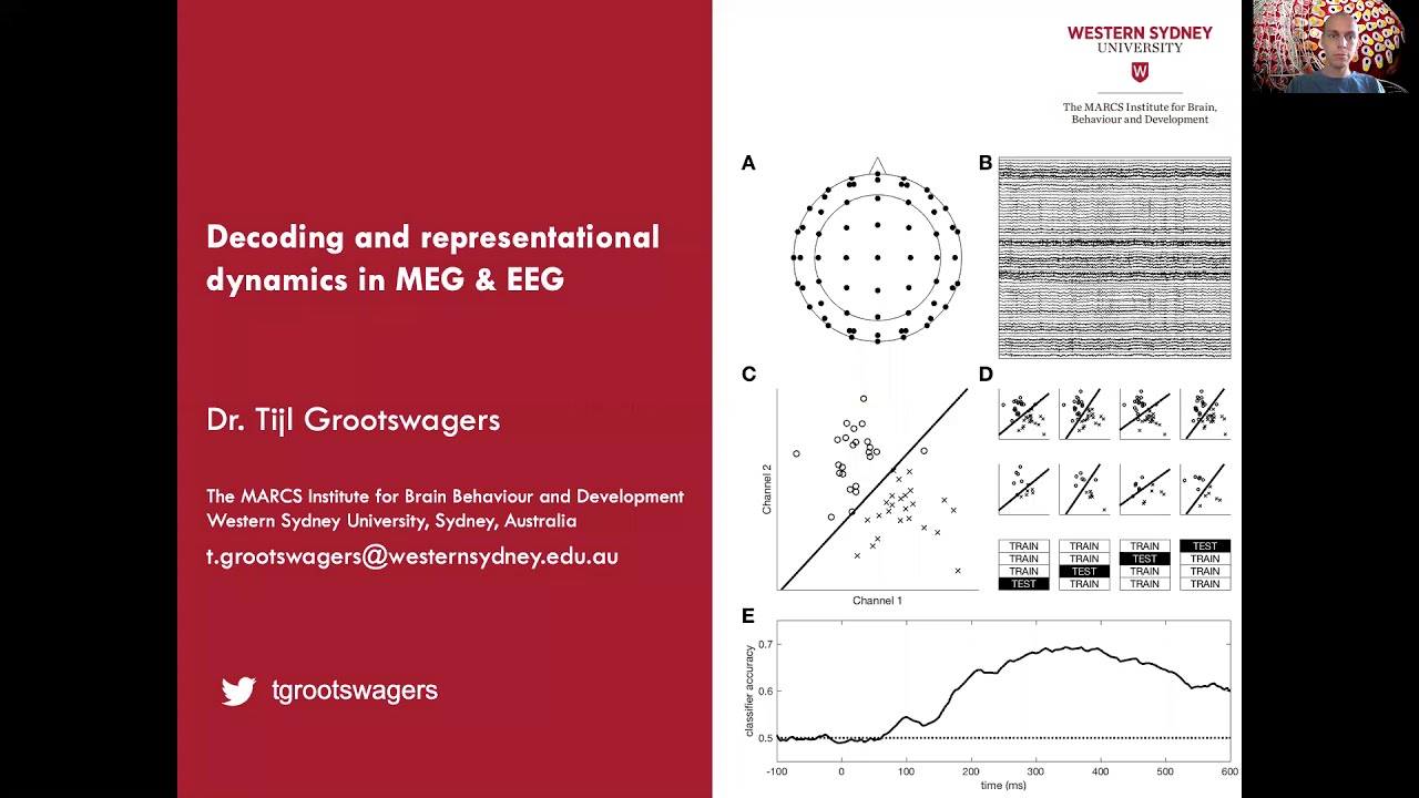 Decoding and representational dynamics in MEG and EEG