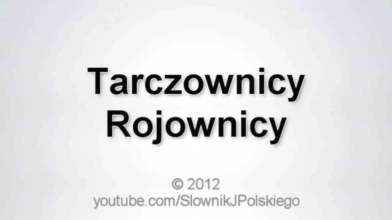 Jak wym&oacute;wić Tarczownicy Rojownicy