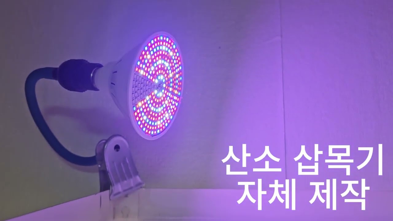 산소 삽목기 새로 만들기  #토종수국차나무#수국차#감로차#산소 삽목기