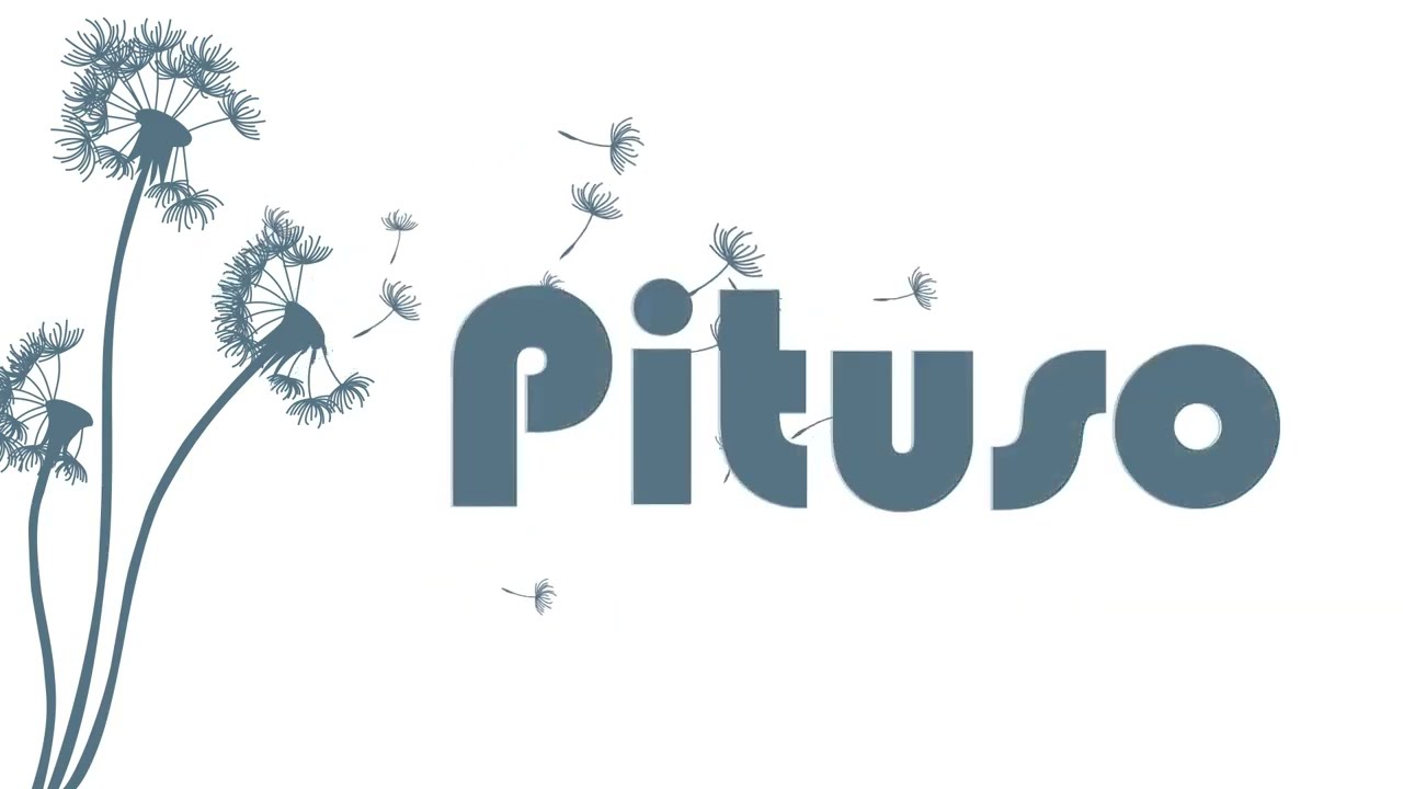 Стульчик для кормления Pituso Compatto