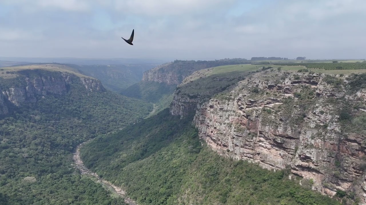 Oribi Gorge, South Africa Drone