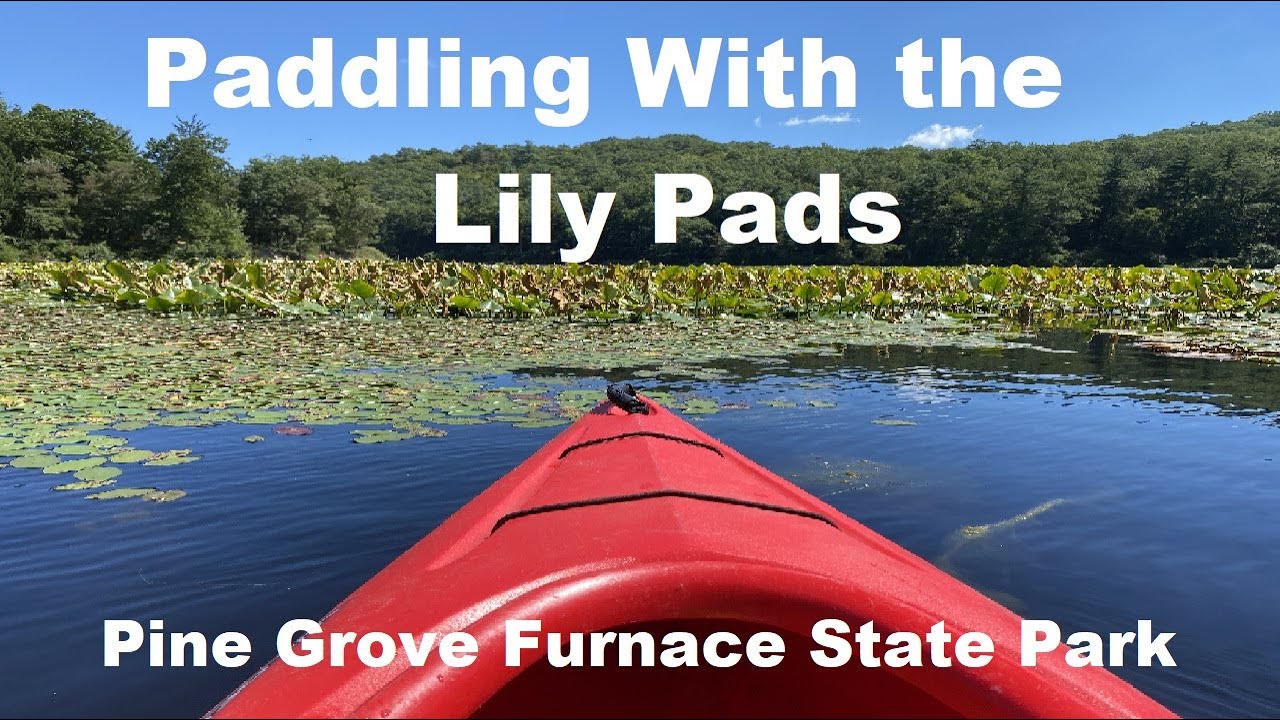 Paddling With The Lily Pads Pine Grove Furnace State Park PA & Up Close & Personal With Wildlife!
