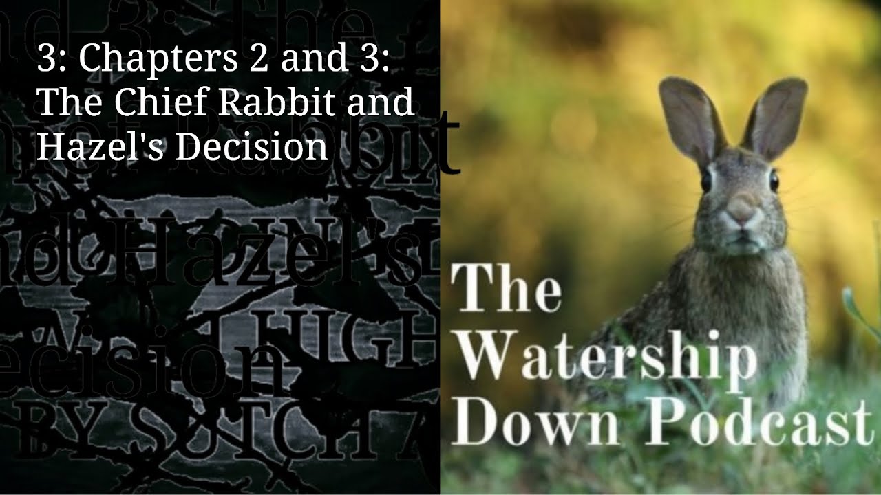3: Chapters 2 and 3 The Chief Rabbit and Hazel's Decision