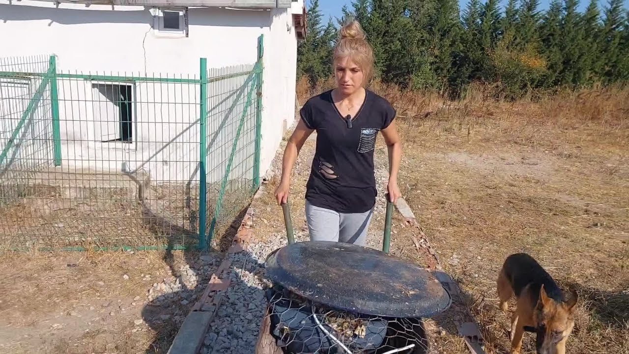 KÖPEKLERİN DOĞUMHANESİNİ TEMİZLEDİK
