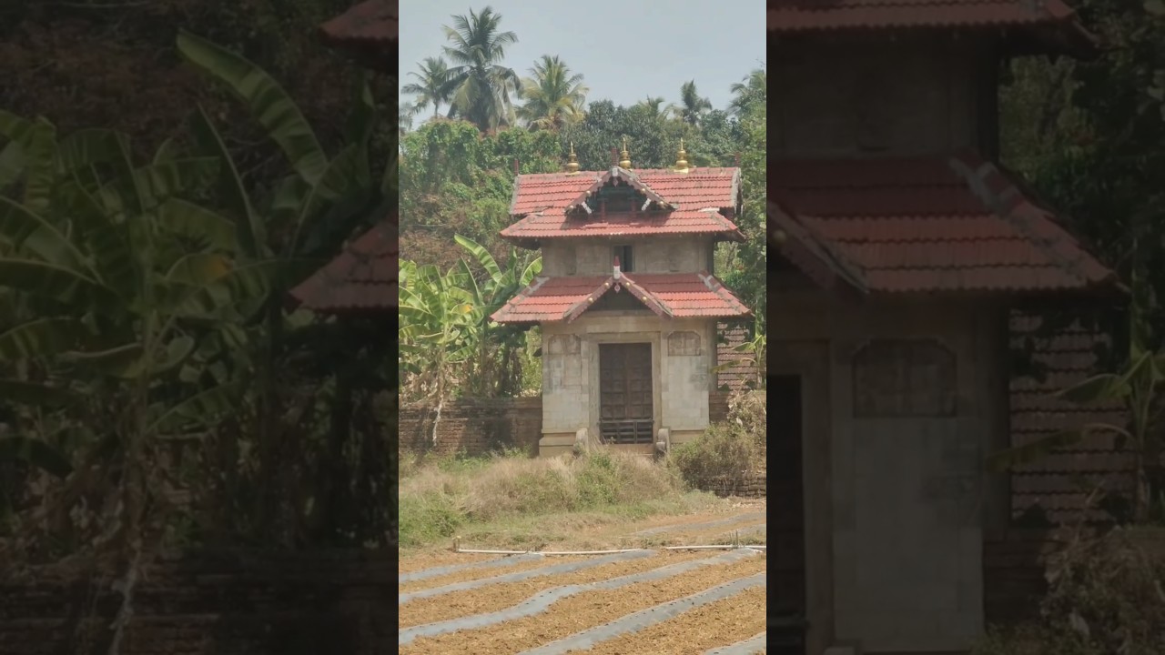 തറക്കൽ വാരിയം | VALLAPUZHA, PALAKKAD #palakkad #beauty #temple #trending #location #movie #fyp