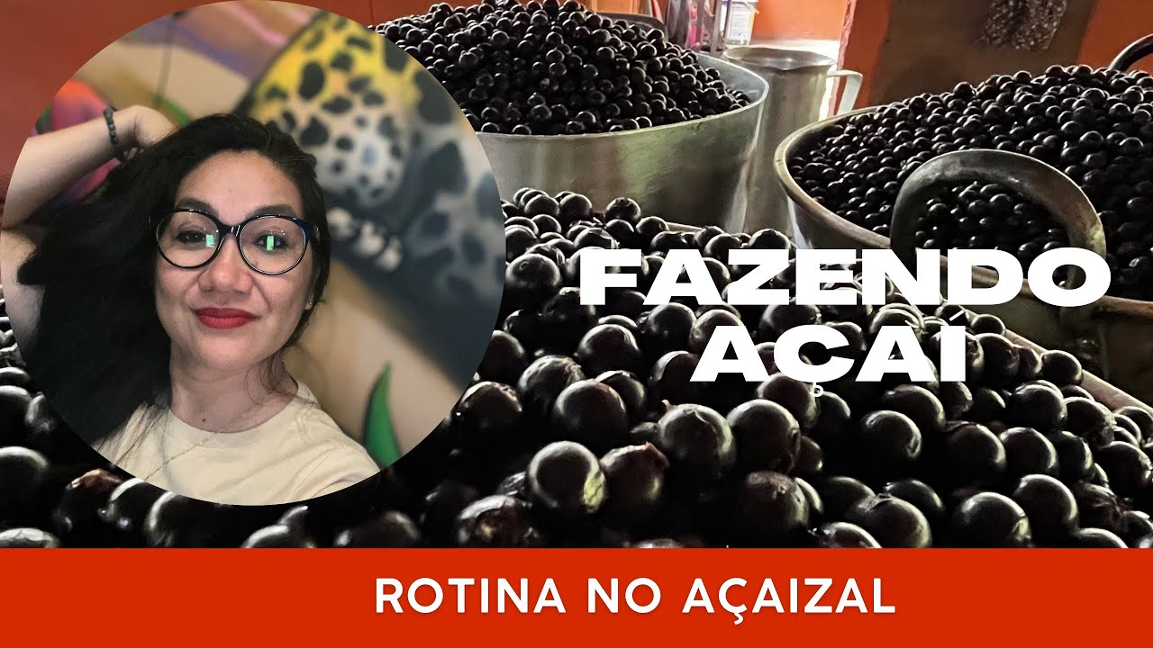 FAZENDO AÇAÍ AQUI NO SITIO DA MINHA MAE RAMAL COOPERATIVA #açaí #agrofloresta