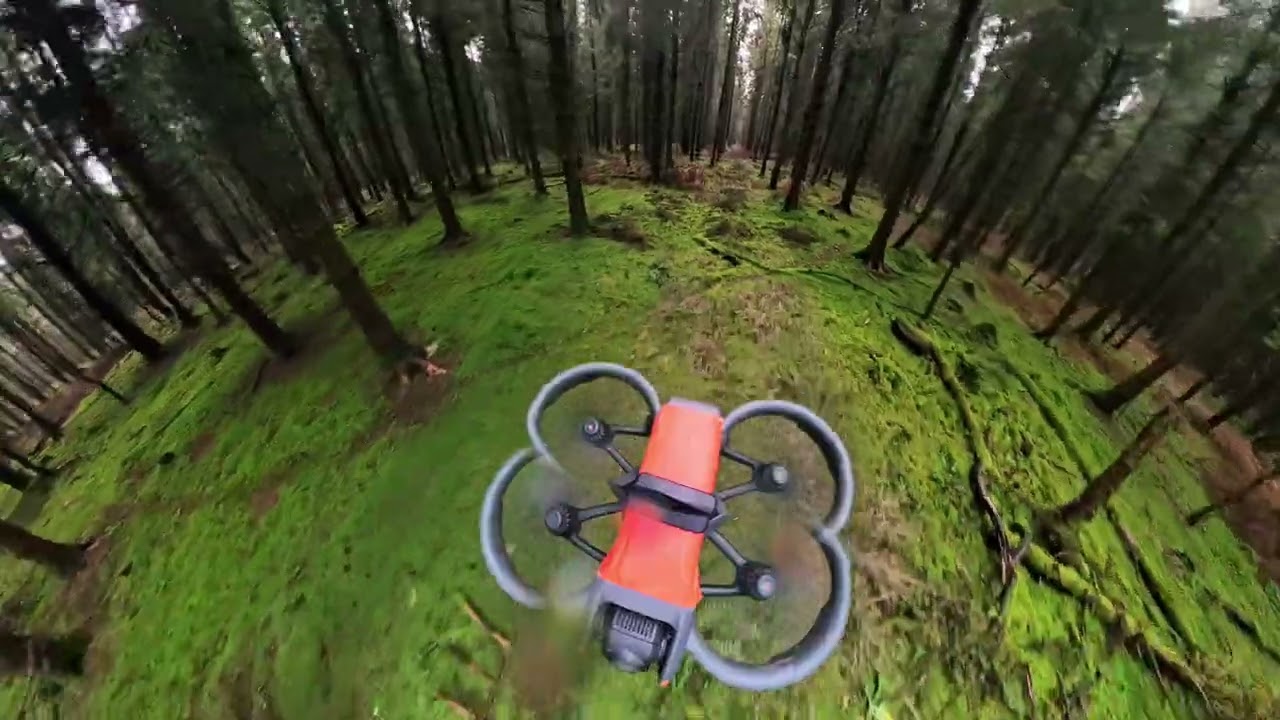 DRONE LIFE 360 / AVATA 2 WITH 360 CAMERA / 11TH FEB 2026