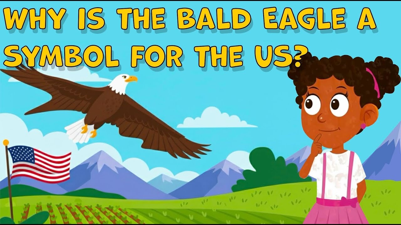 I Wonder Why is the Bald Eagle a Symbol for the US | US Symbols Facts for Kids | Fun Facts about US