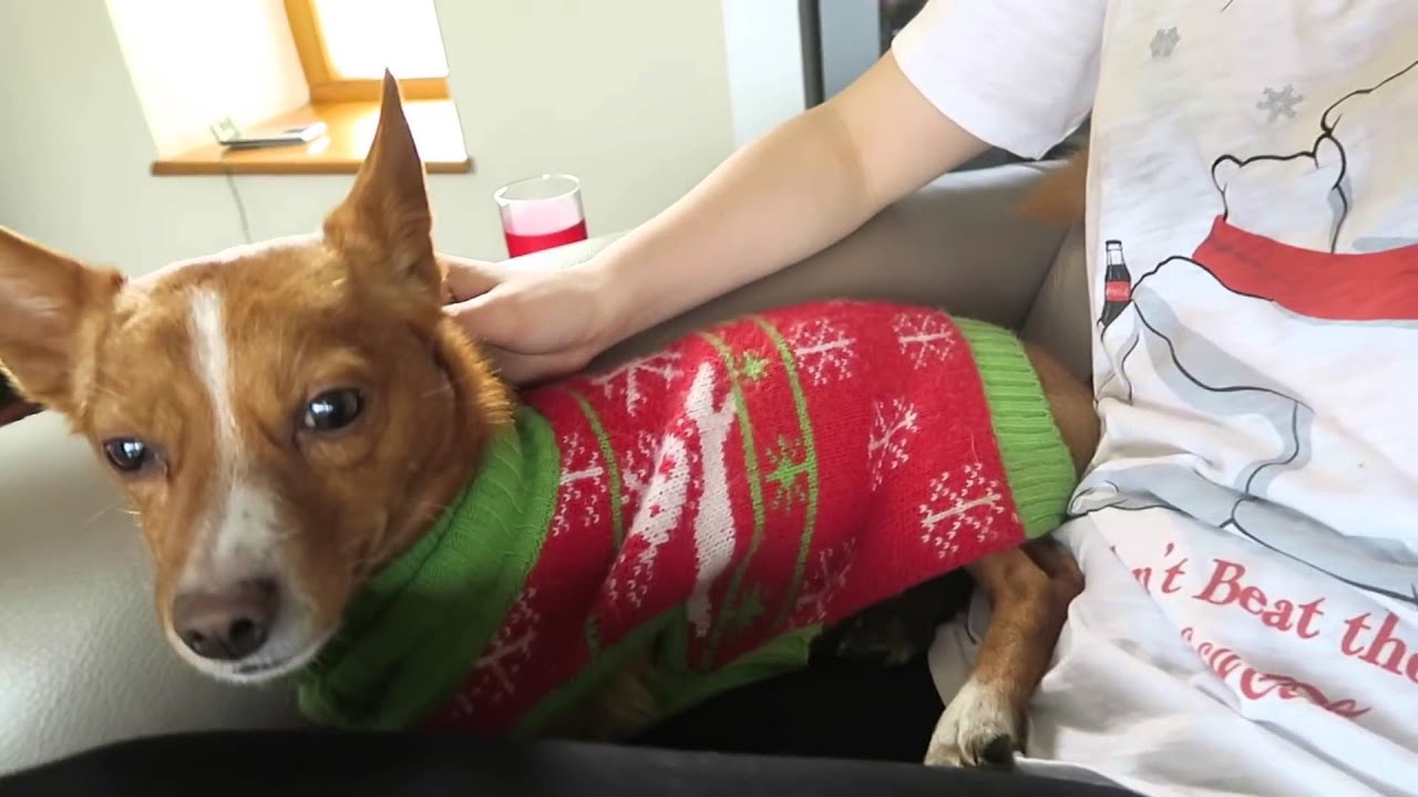 Vlog z Vánoc 2015