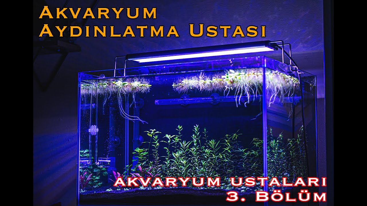 Akvaryum Ustaları 3. Bölüm Akvaryum Aydınlatma Ustası (Mygos Teknoloji)