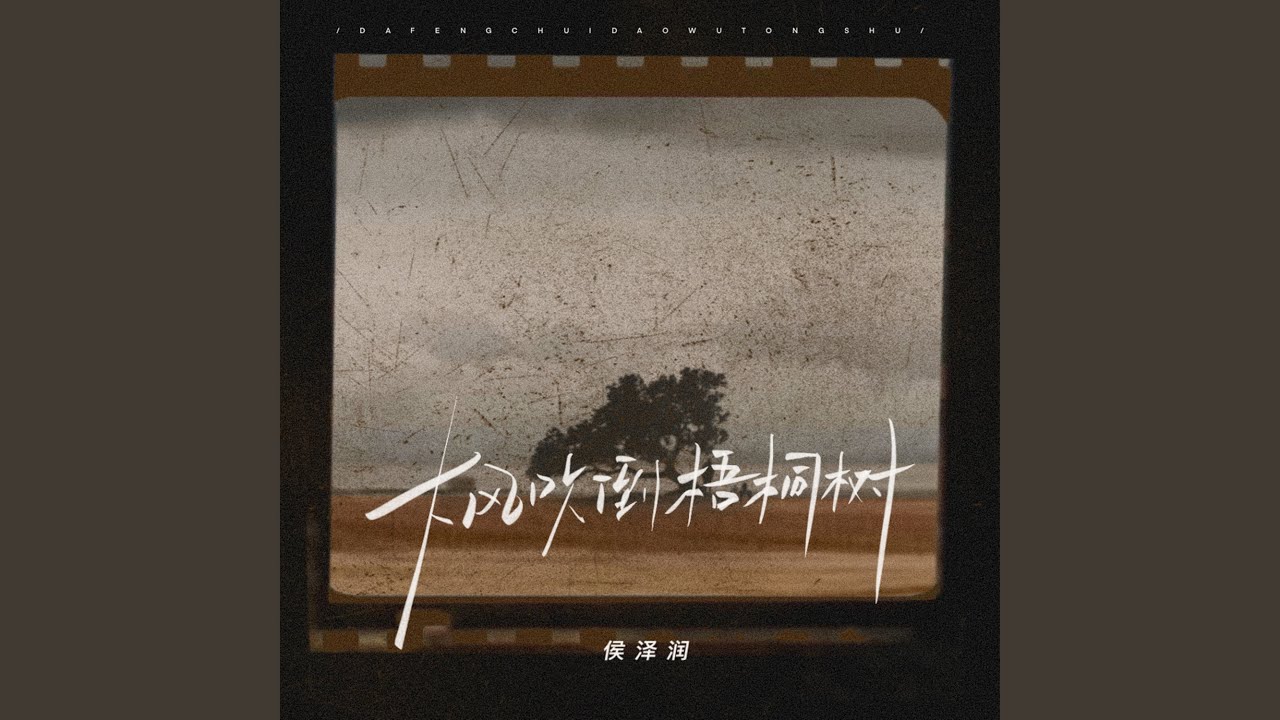 大风吹倒梧桐树