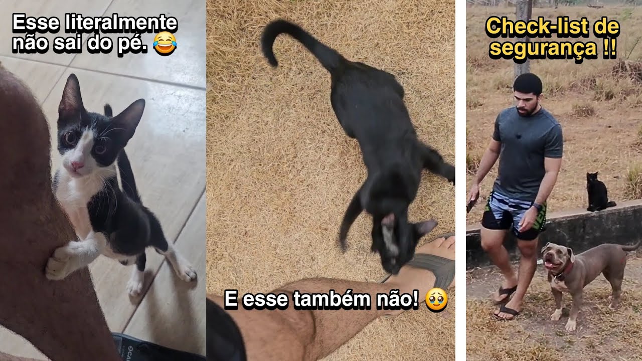 O mundo quase 