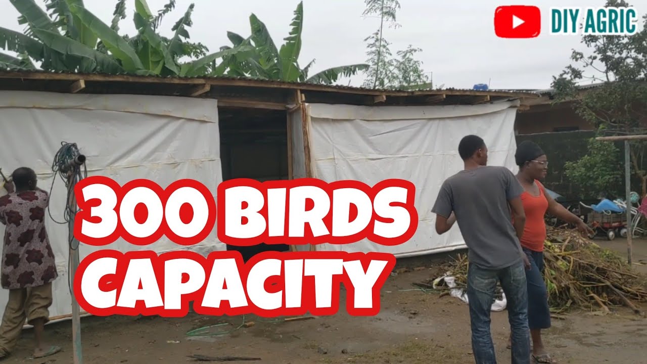 Surprise Visit to a Fan's Backyard Poultry House | 300 Birds Capacity