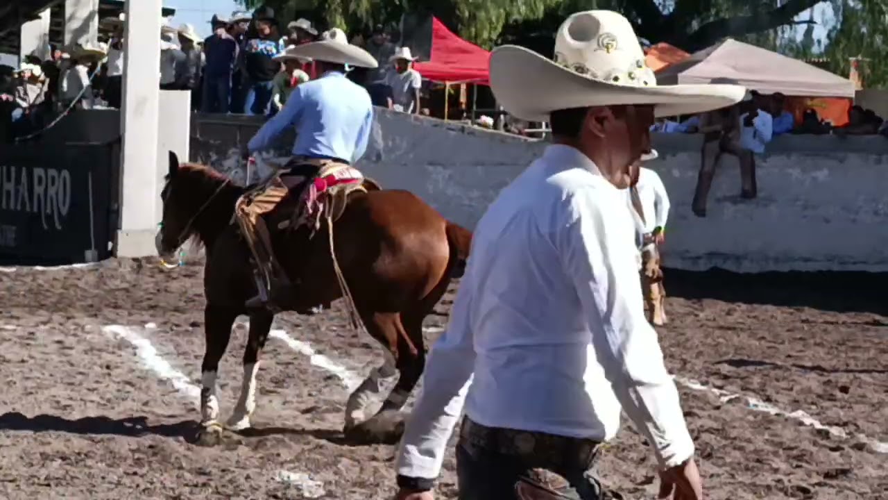 Suerte Charra Cala de Caballo del Trébol 