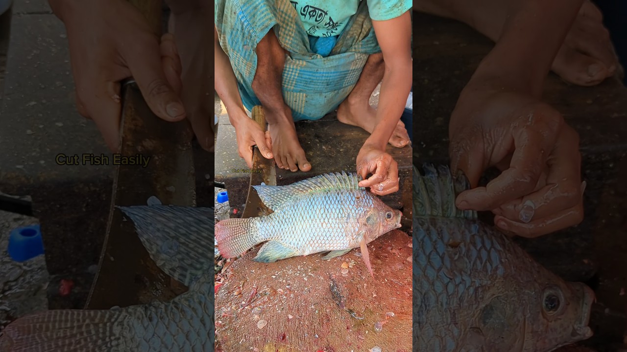 Fresh Market Tilapia Fish Cutting | Perfect Cut 😱 || #shorts #fishcutting_skills