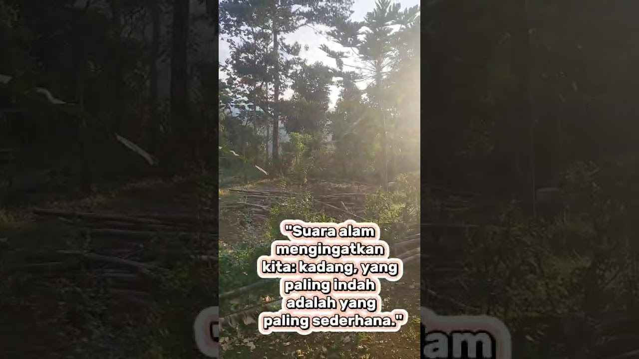 Relaxing Nature Sounds