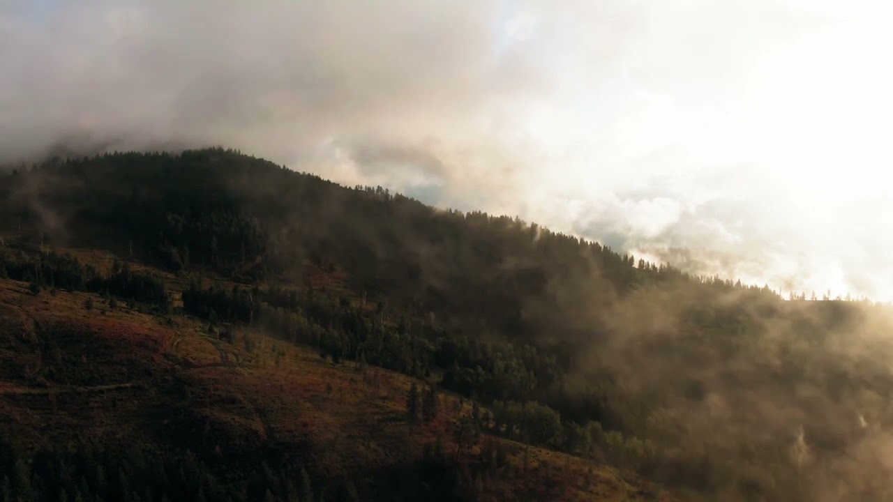 The Woodcutters (excerpt) by Josh Hanson