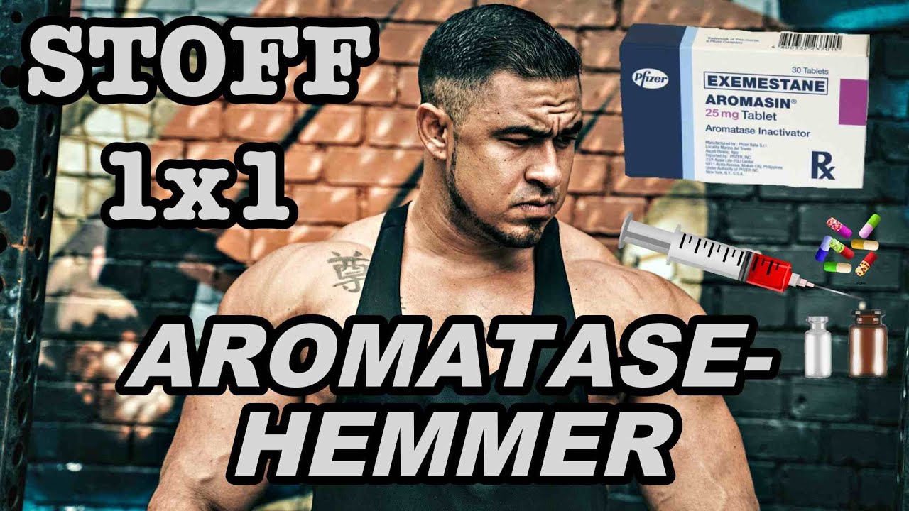 STOFF 1X1: AROMATASE HEMMER! (Aromatase/ Welche Steroide Aromatisieren/ &Ouml;strogen & NW&acute;s/ Dosierung)