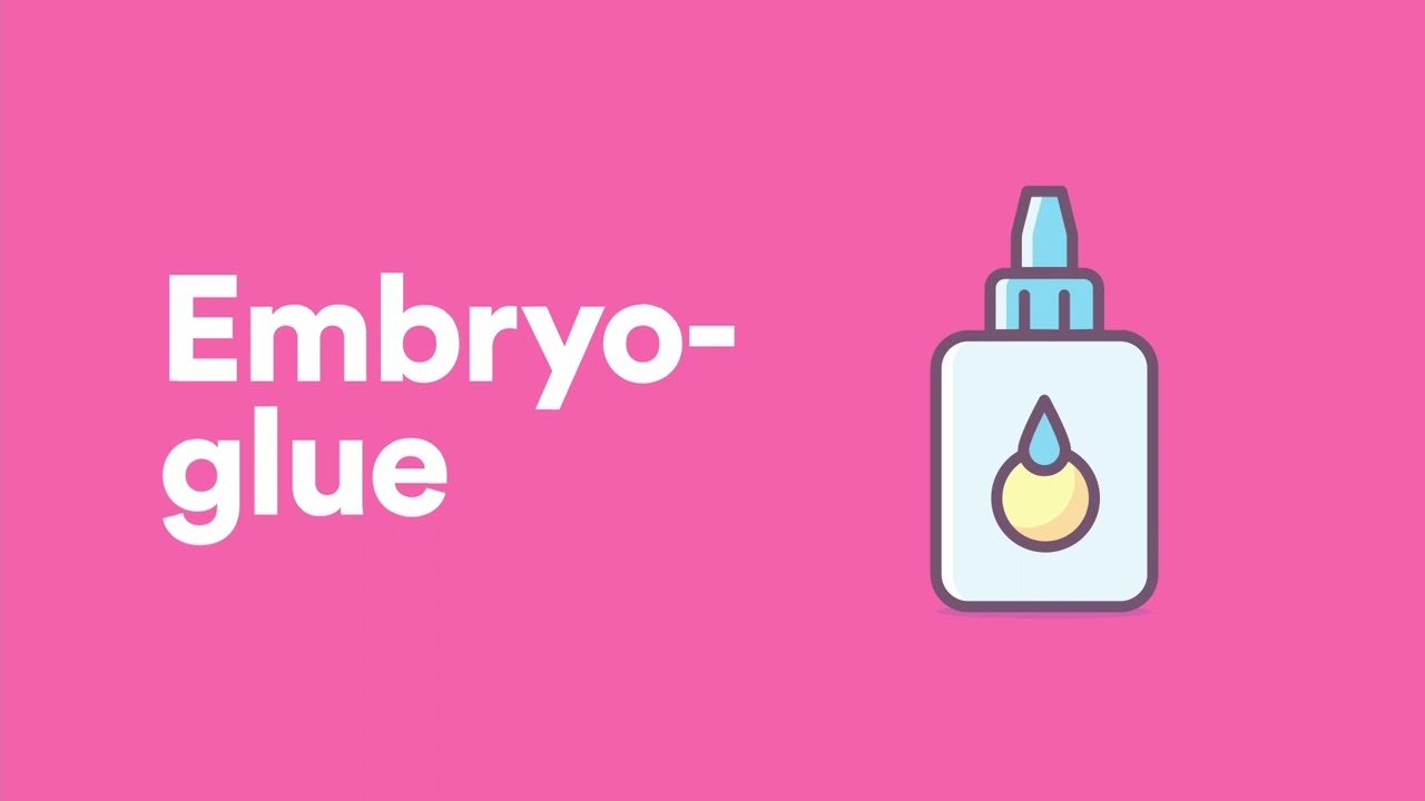 CO JE TO EMBRYO GLUE? JAK TO FUNGUJE? Zv&yacute;&scaron;en&iacute; &uacute;spě&scaron;nosti IVF