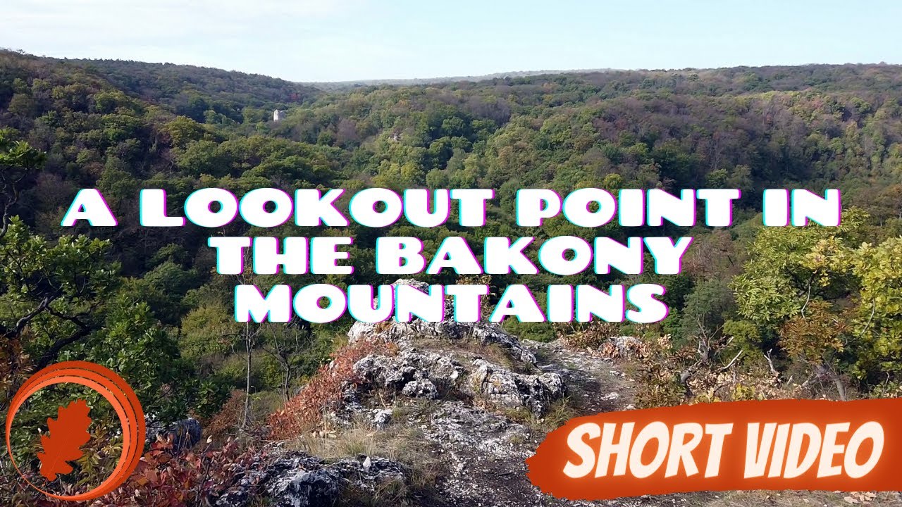 A Lookout Point In The Bakony Mountains